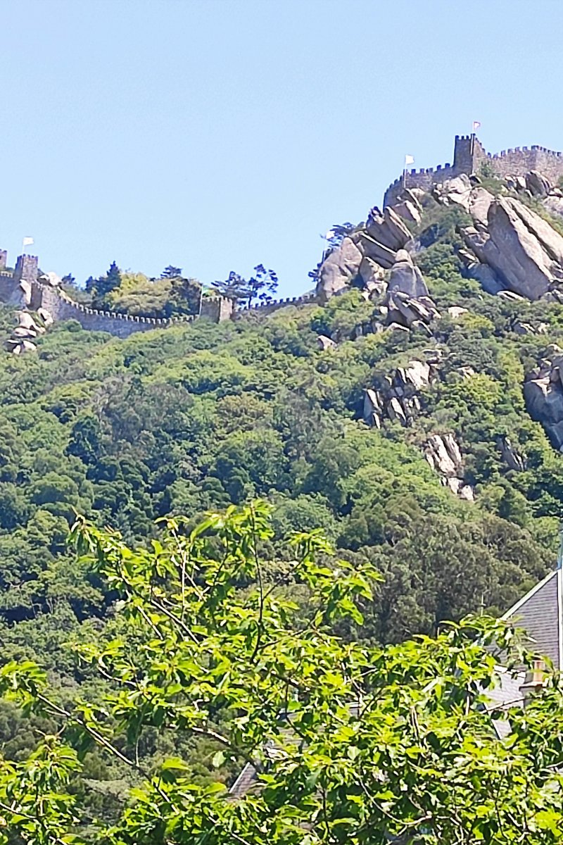 The crenellated walls and stone keep towers of the Castelo dos Mouros snaking along the granite ridge above Sintra, Portugal